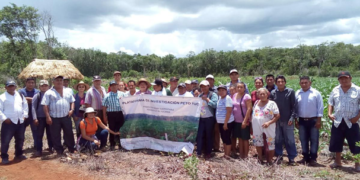 Productores usan rastrojo para mejorar la productividad en milpas