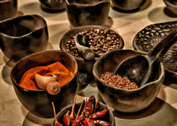 Riqueza genética y biogenética de México, saqueada por trasnacionales