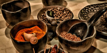 Riqueza genética y biogenética de México, saqueada por trasnacionales