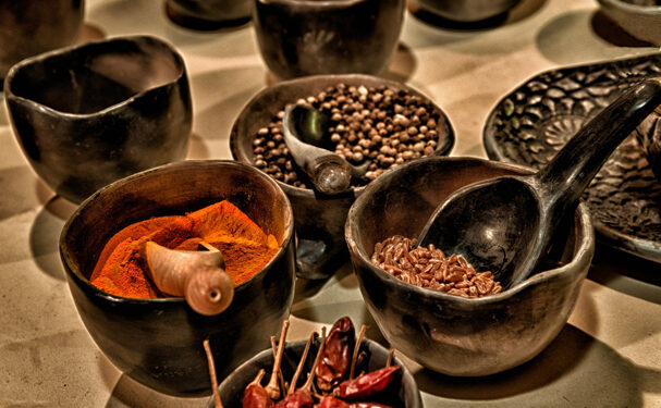 Riqueza genética y biogenética de México, saqueada por trasnacionales