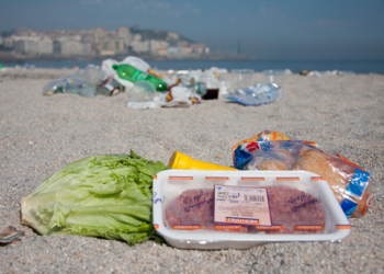 Se desperdicia la tercera parte de alimentos producidos en México