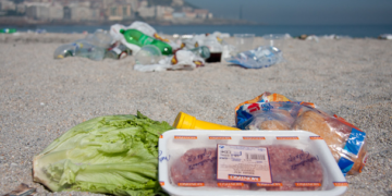 Se desperdicia la tercera parte de alimentos producidos en México