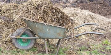 Sugieren desechos animales como fertilizantes orgánicos