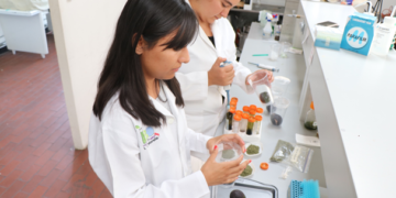 Buscan favorecer el comercio de la agricultura familiar en Oaxaca