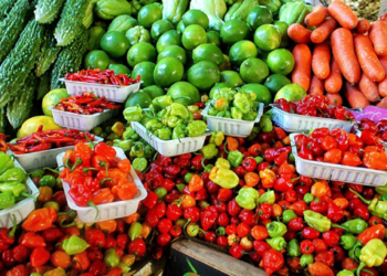 El volumen de los alimentos producidos en el mundo debe duplicarse: ONU