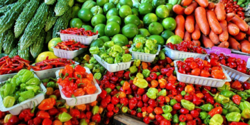 El volumen de los alimentos producidos en el mundo debe duplicarse: ONU