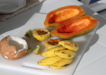 Buscan sustentabilidad de coco, plátano y papaya en Michoacán