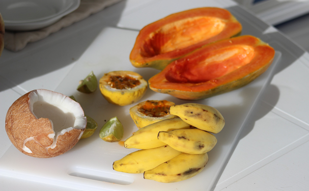 Buscan sustentabilidad de coco, plátano y papaya en Michoacán