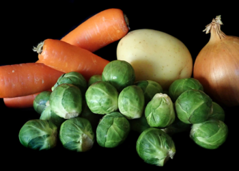 Cuba apuesta por desarrollar una agricultura orgánica