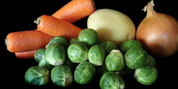 Cuba apuesta por desarrollar una agricultura orgánica