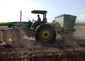 El valor de una buena composta para enriquecer los suelos