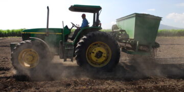 El valor de una buena composta para enriquecer los suelos