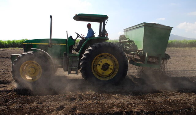 El valor de una buena composta para enriquecer los suelos