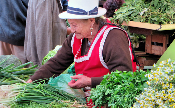 Fortalecerán agroturismo en países latinoamericanos