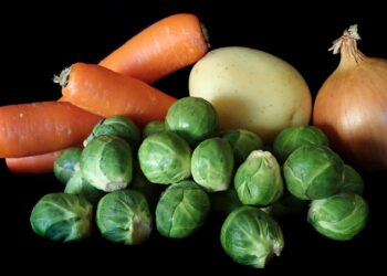 Situación actual de certificación orgánica en México