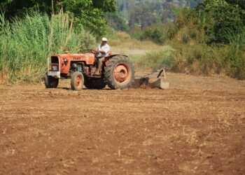 Financiamiento rural presenta nuevos retos