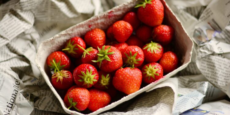 Crece interés de los consumidores por envases sostenibles