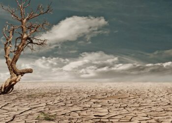 Agricultura orgánica puede reducir los riesgos de la desertificación