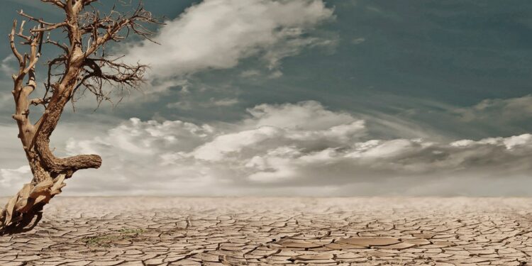 Agricultura orgánica puede reducir los riesgos de la desertificación