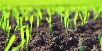 Autoridades de Michoacán anuncian “uso cero” de agroquímicos