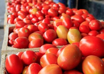 El precio del jitomate se dispara en la CDMX