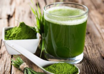 Estudiantes crean proteína a base de alga espirulina