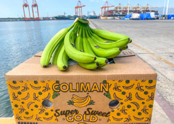 Inician exportaciones de plátano mexicano a China