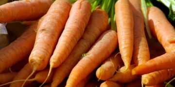 Migrantes hondureños cultivan sus alimentos en la frontera norte