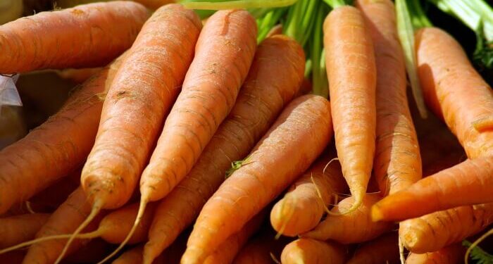 Migrantes hondureños cultivan sus alimentos en la frontera norte