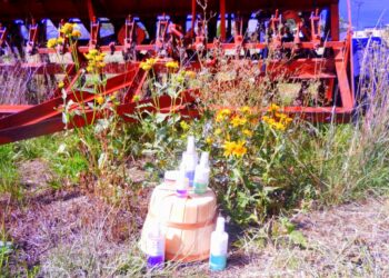 Productos para el cuidado de la piel reciben certificación orgánica