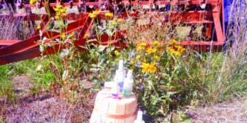 Productos para el cuidado de la piel reciben certificación orgánica