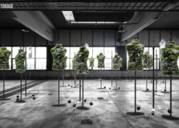 Un huerto para cultivar y vestir tu propia ropa