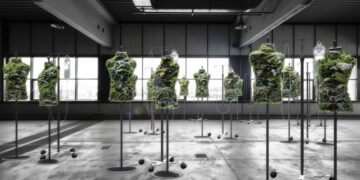 Un huerto para cultivar y vestir tu propia ropa