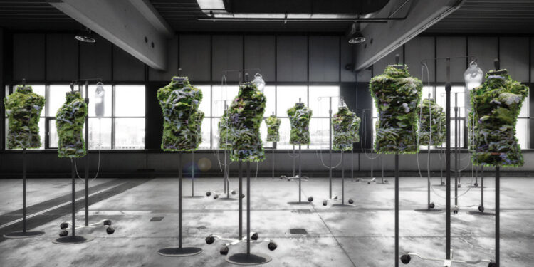 Un huerto para cultivar y vestir tu propia ropa