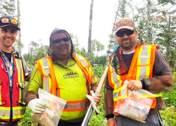 Compañía minera de Sonora produce fertilizante orgánico