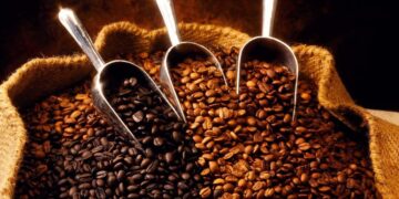 Productor de café orgánico preserva hábitat con sus ingresos