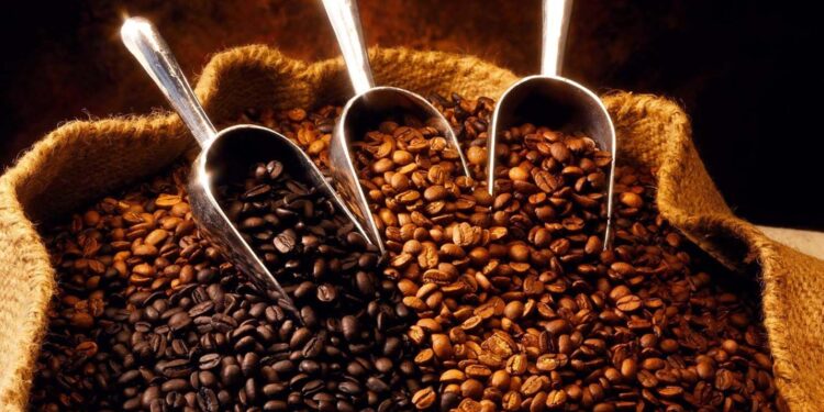 Productor de café orgánico preserva hábitat con sus ingresos