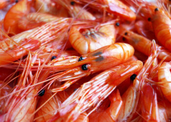 Gobierno, productores e IP coordinan acciones para garantizar suministro de alimentos