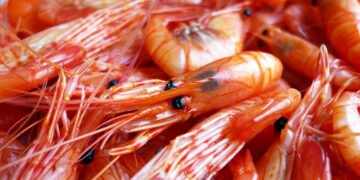 Gobierno, productores e IP coordinan acciones para garantizar suministro de alimentos