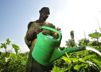 El cambio climático pone en riesgo la disponibilidad de agua