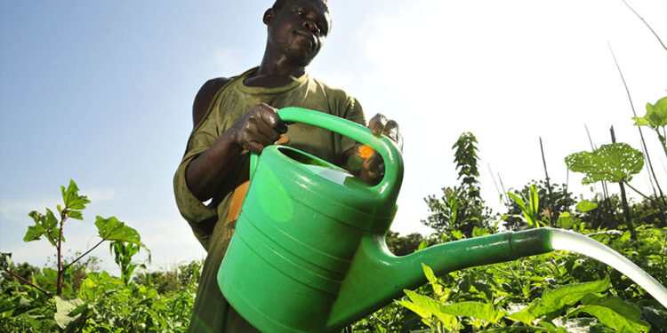 El cambio climático pone en riesgo la disponibilidad de agua