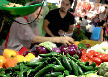 Gobierno, productores e IP coordinan acciones para garantizar suministro de alimentos