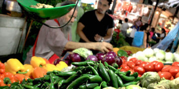 Gobierno, productores e IP coordinan acciones para garantizar suministro de alimentos