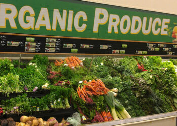 Investigadores piden mejorar la identificación de productos ecológicos