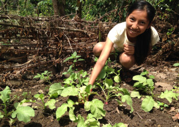 La FAO impulsa el desarrollo de la pequeña agricultura en México