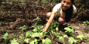 La FAO impulsa el desarrollo de la pequeña agricultura en México