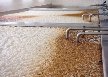 Aguas residuales de cerveza son materia prima de biofertilizantes