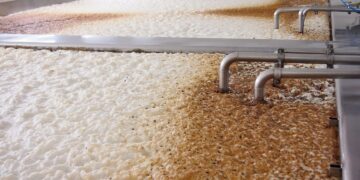 Aguas residuales de cerveza son materia prima de biofertilizantes