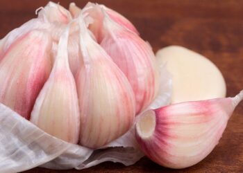 Aprende a cultivar ajo en maceta