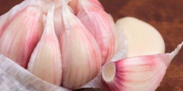 Aprende a cultivar ajo en maceta